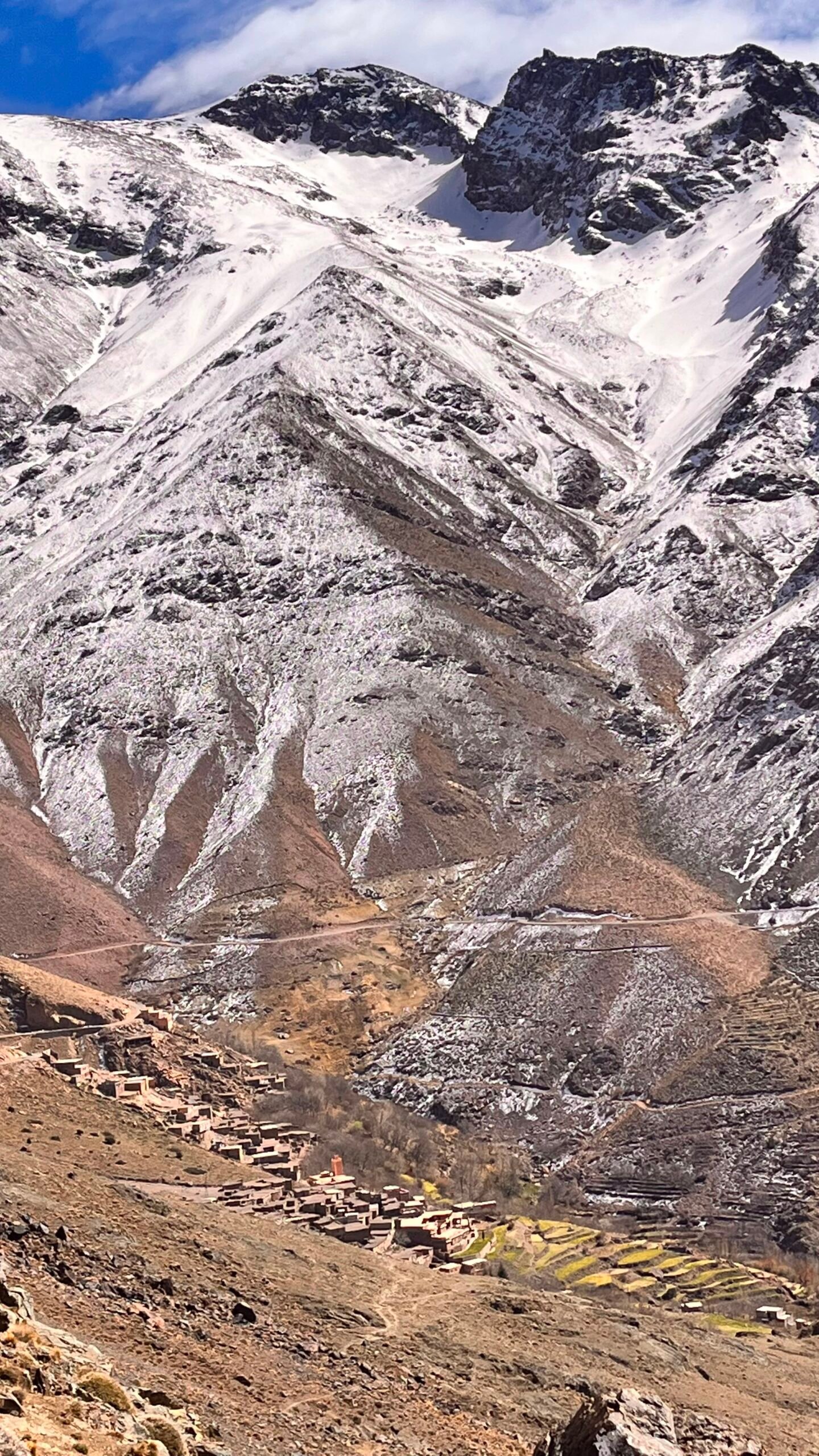 Trek photo 6